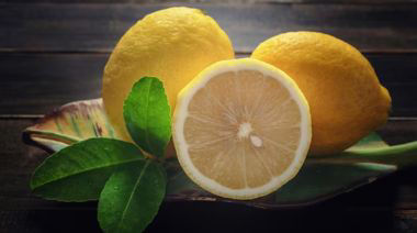 garnishing-instructions-image